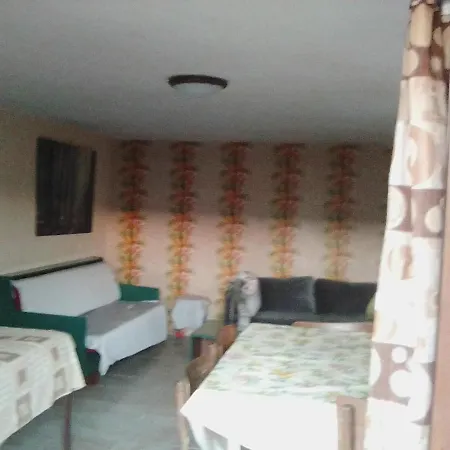 Bees Life A Apartamento